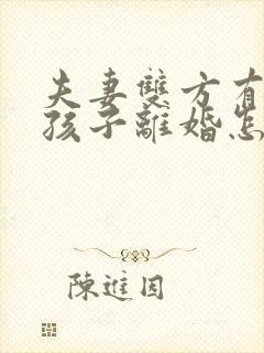 夫妻双方有两个孩子离婚怎么判