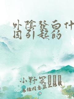 外阴发白什么原因引起的