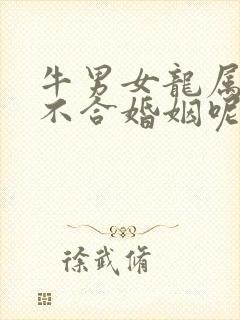 牛男女龙属相合不合婚姻呢