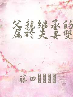 父亲继承的遗产属于夫妻双方共同财产吗?