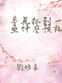 梦见抓到一条大鱼什么预兆