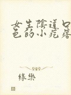 女生阴道口有白色的小疙瘩