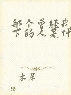 那个曾经我放不下的人是什么歌