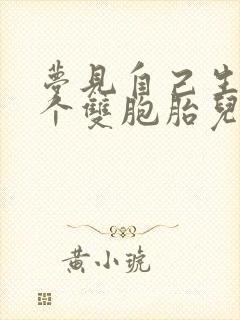 梦见自己生了两个双胞胎儿子