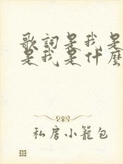 歌词是我是我还是我是什么歌