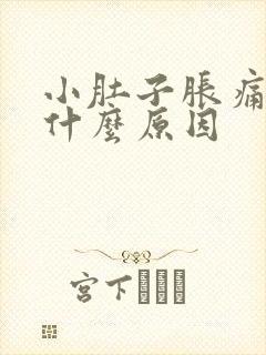 小肚子胀痛女性什么原因