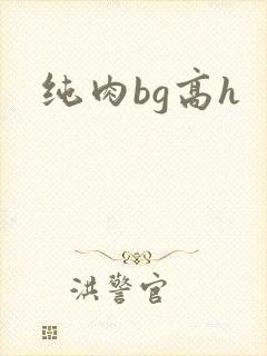 纯肉bg高h