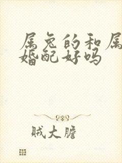 属兔的和属羊的婚配好吗