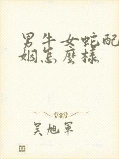 男牛女蛇配的婚姻怎么样