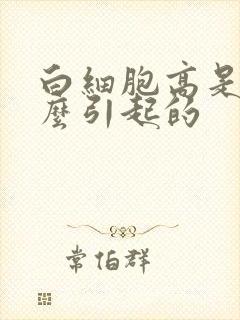 白细胞高是由什么引起的