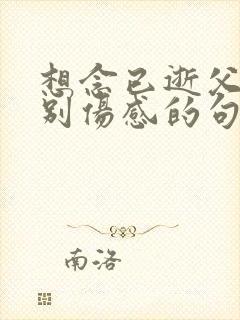 想念已逝父亲特别伤感的句子