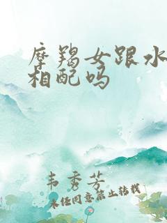 摩羯女跟水瓶男相配吗