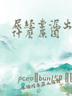 尿经常漏出来是什么原因