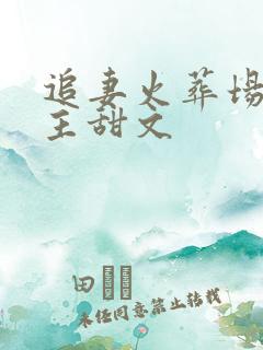 追妻火葬场双男主甜文