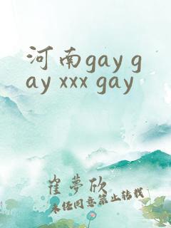 河南gay gay xxx gay