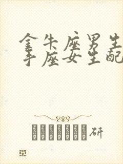 金牛座男生和射手座女生配对指数