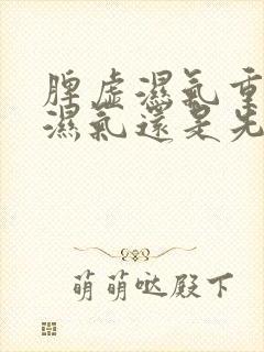 脾虚湿气重先清湿气还是先补脾