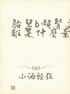 胎儿b超肾盂分离是什么意思