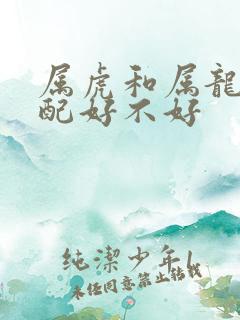 属虎和属龙的相配好不好