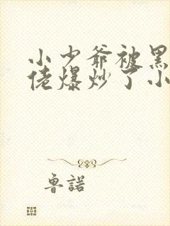 小少爷被黑道大佬爆炒了小说