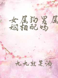 女属狗男属鸡婚姻相配吗