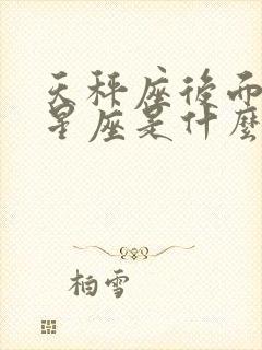 天秤座后面一个星座是什么星座啊