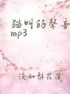 猫叫的声音下载mp3