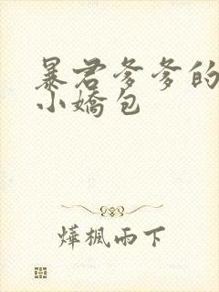 暴君爹爹的团宠小娇包