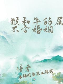 猴和牛的属相合不合婚姻