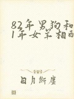 82年男狗和91年女羊相配吗