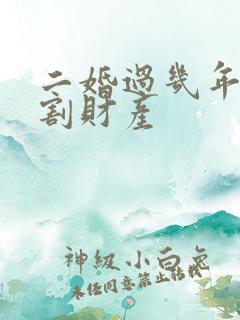 二婚过几年能分割财产