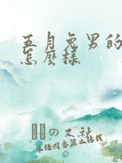 五月兔男的命运怎么样