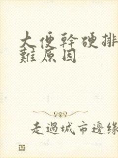 大便干硬排便困难原因