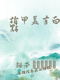 指甲盖有白色斑点