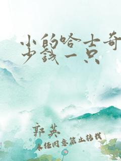 小的哈士奇要多少钱一只