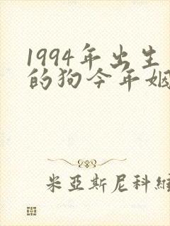 1994年出生的狗今年姻缘