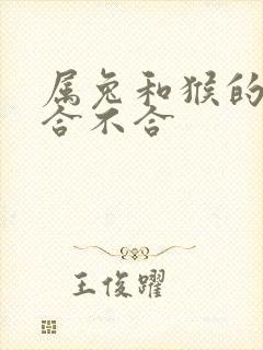 属兔和猴的属相合不合