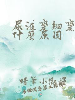 尿液变细变少是什么原因