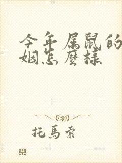 今年属鼠的人婚姻怎么样