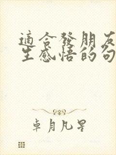 适合发朋友圈人生感悟的句子