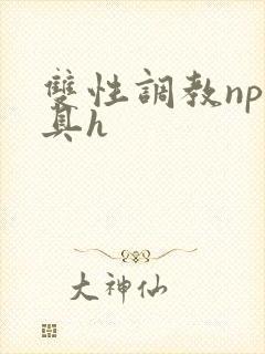 双性调教np道具h