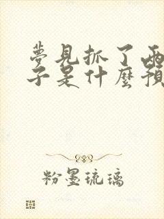 梦见抓了两只兔子是什么预兆