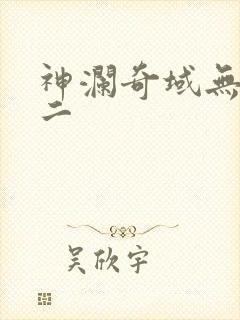 神澜奇域无双珠二