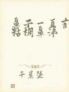 鼻子一直有黄色粘稠鼻涕