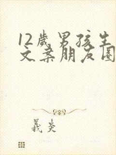 12岁男孩生日文案朋友圈