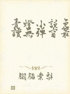 青灯小说免费阅读无弹窗最新章节