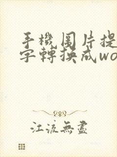 手机图片提取文字转换成word文档