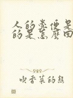 人的粪便是绿色的是怎么回事