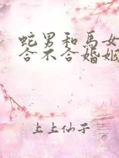 蛇男和马女属相合不合婚姻