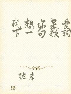 我想你是爱我的下一句歌词